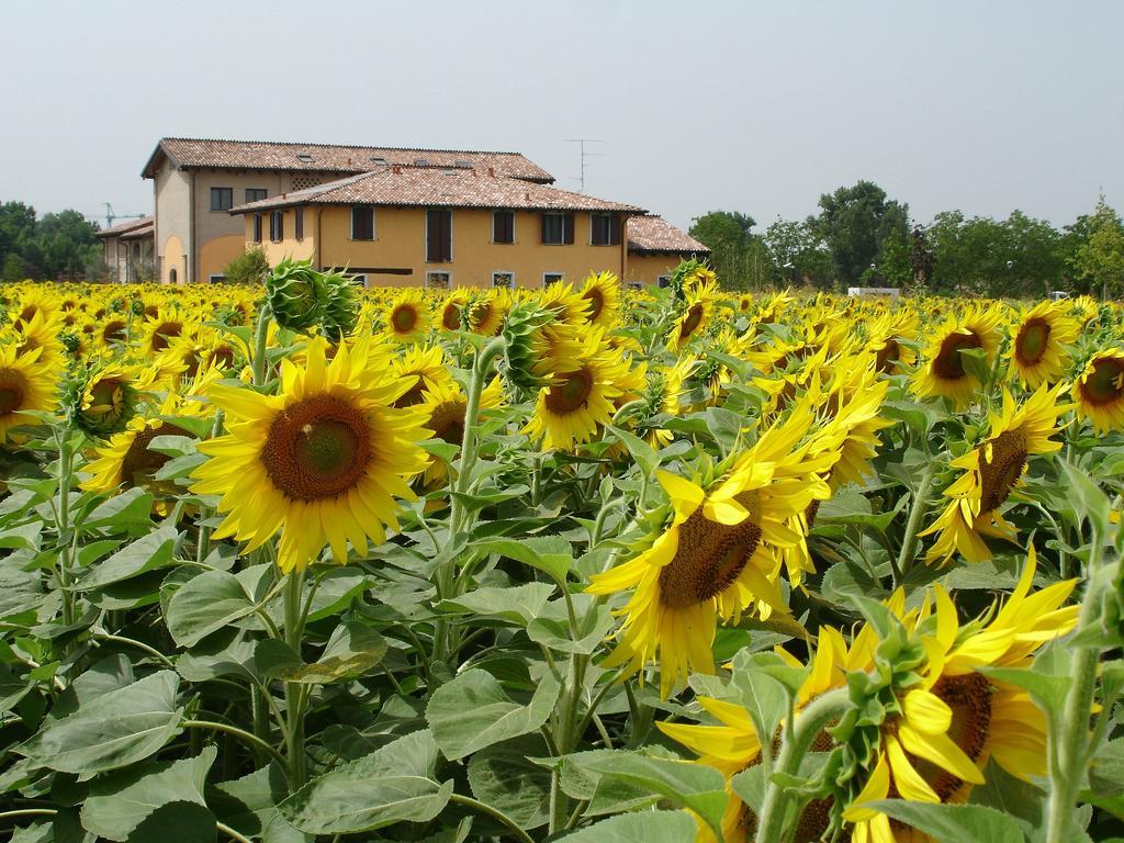 Hotel Del Rio Srl - Ristorante E Azienda Agricola Casinalbo Extérieur photo