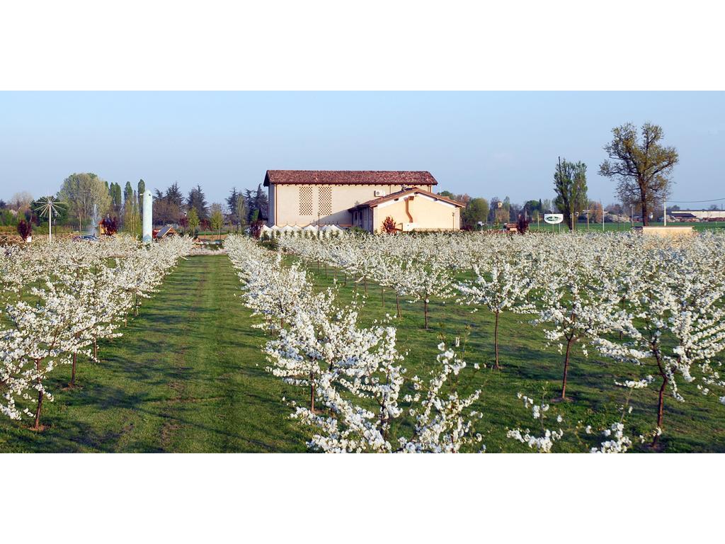 Hotel Del Rio Srl - Ristorante E Azienda Agricola Casinalbo Extérieur photo
